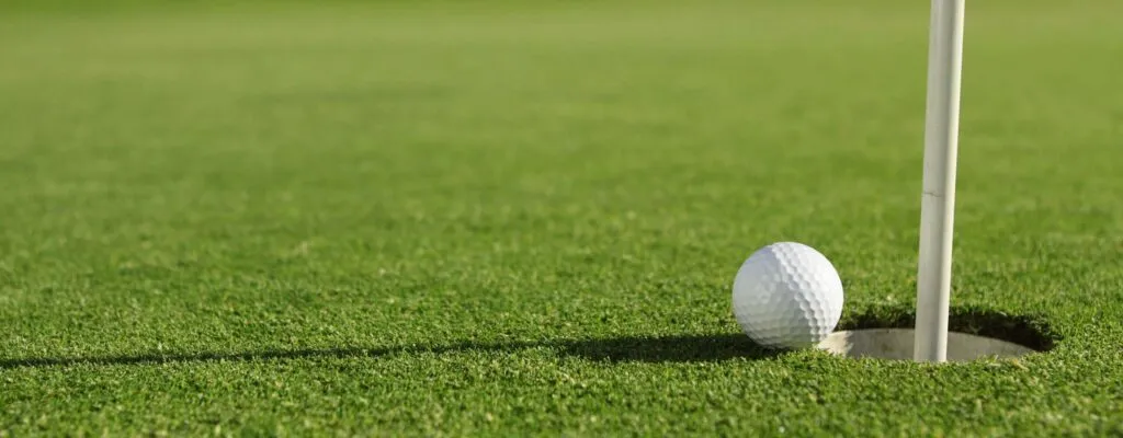 Golf hole and ball on green