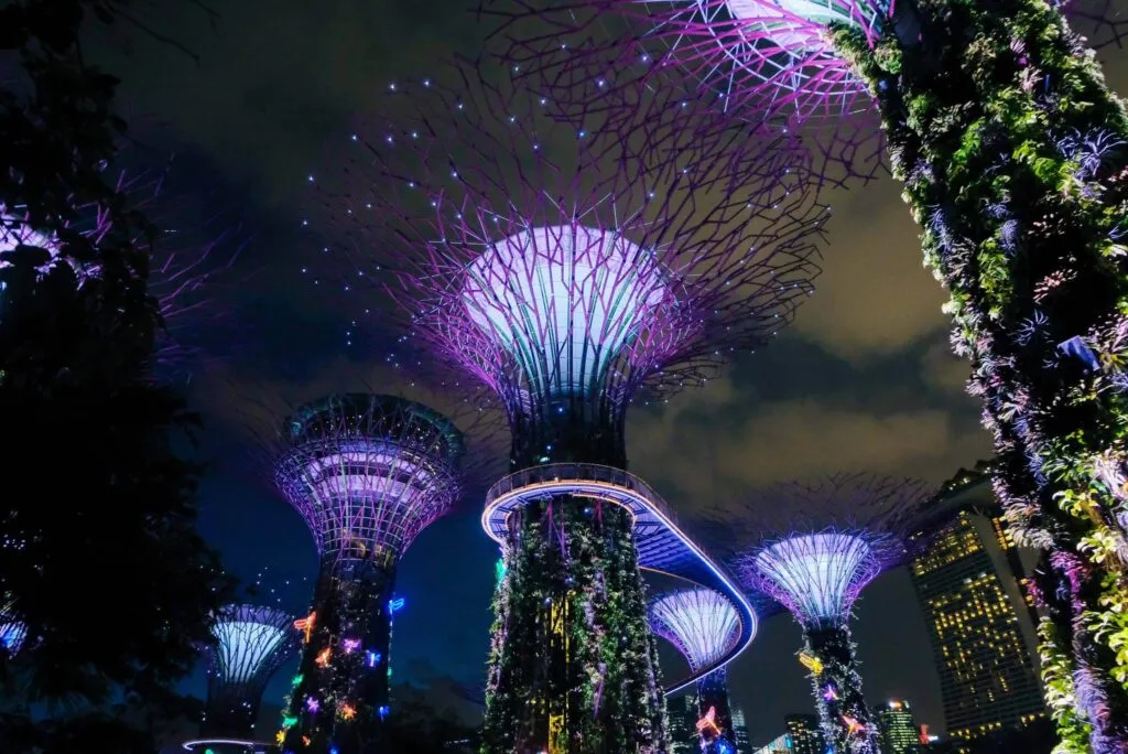 Gardens by the Bay lit up, Singapore. Photo by Miguel Sousa on Unsplash